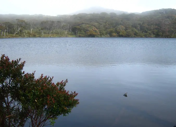 Hiking Gunung Singgalang